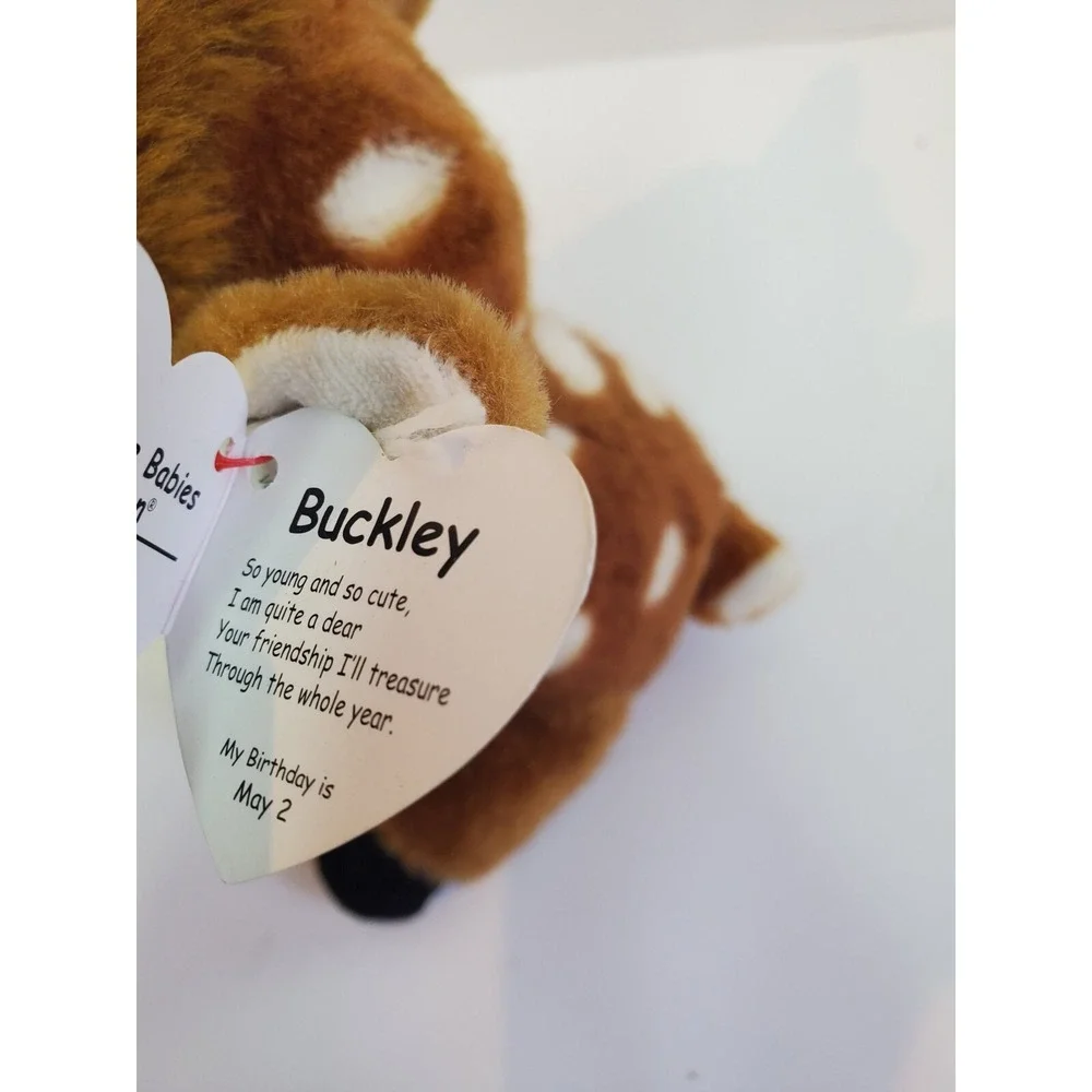 New 2020 TY Beanie Baby 6
